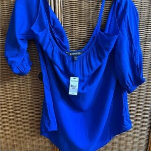 Express Women's Vibrant Blue Blouse
